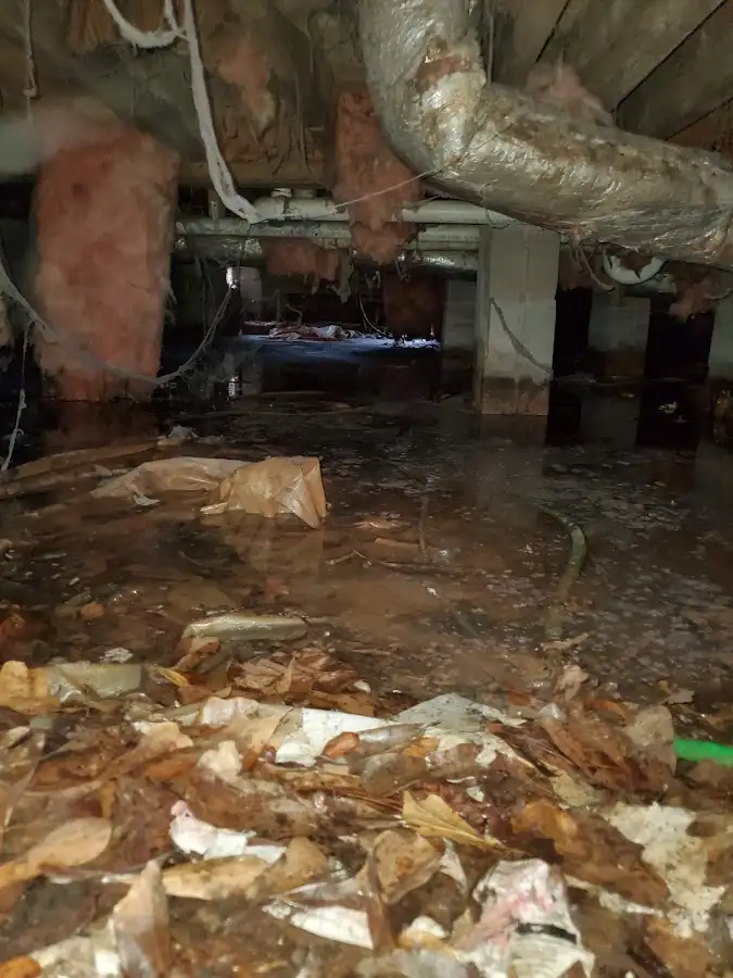 Crawl space flood assessment for Commercial Water Damage Restoration in Taylorsville