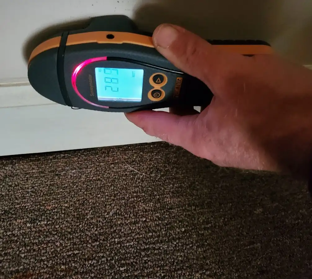 Moisture detection at baseboard during Sewage Cleanup & Sanitation in Taylorsville